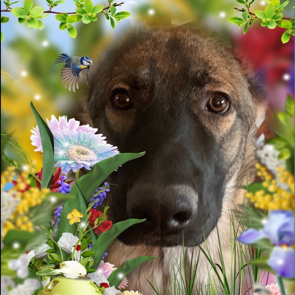 Meet your Posher, Rebecca - Picture 12 of 14